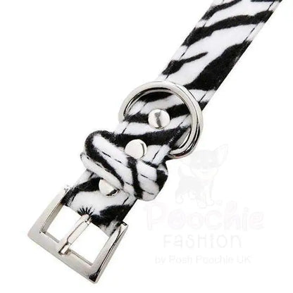 Zebra Print Fabric Dog Collar - Urban - 3